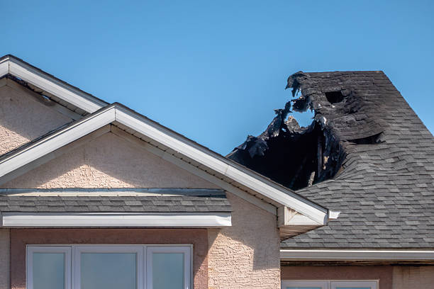 Top rated local Fire Damage Removal specialists in Monticello, FL